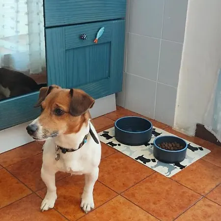 Casa Benny Appartamento *